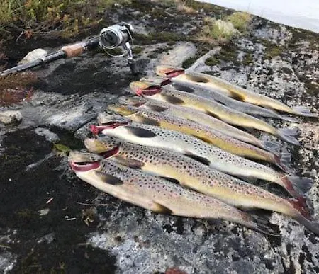 Dom wakacyjny Modern Cozy Near Langsua National Park *